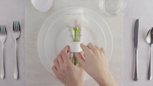 TEASPOON (CUP) 6" | 15 CM WHITE BOX PACKING
