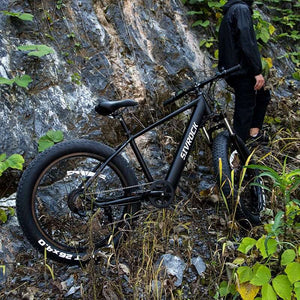 26'' Electric Bike 1000W