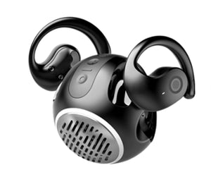 Wireless Earbuds with Speaker Charging Case