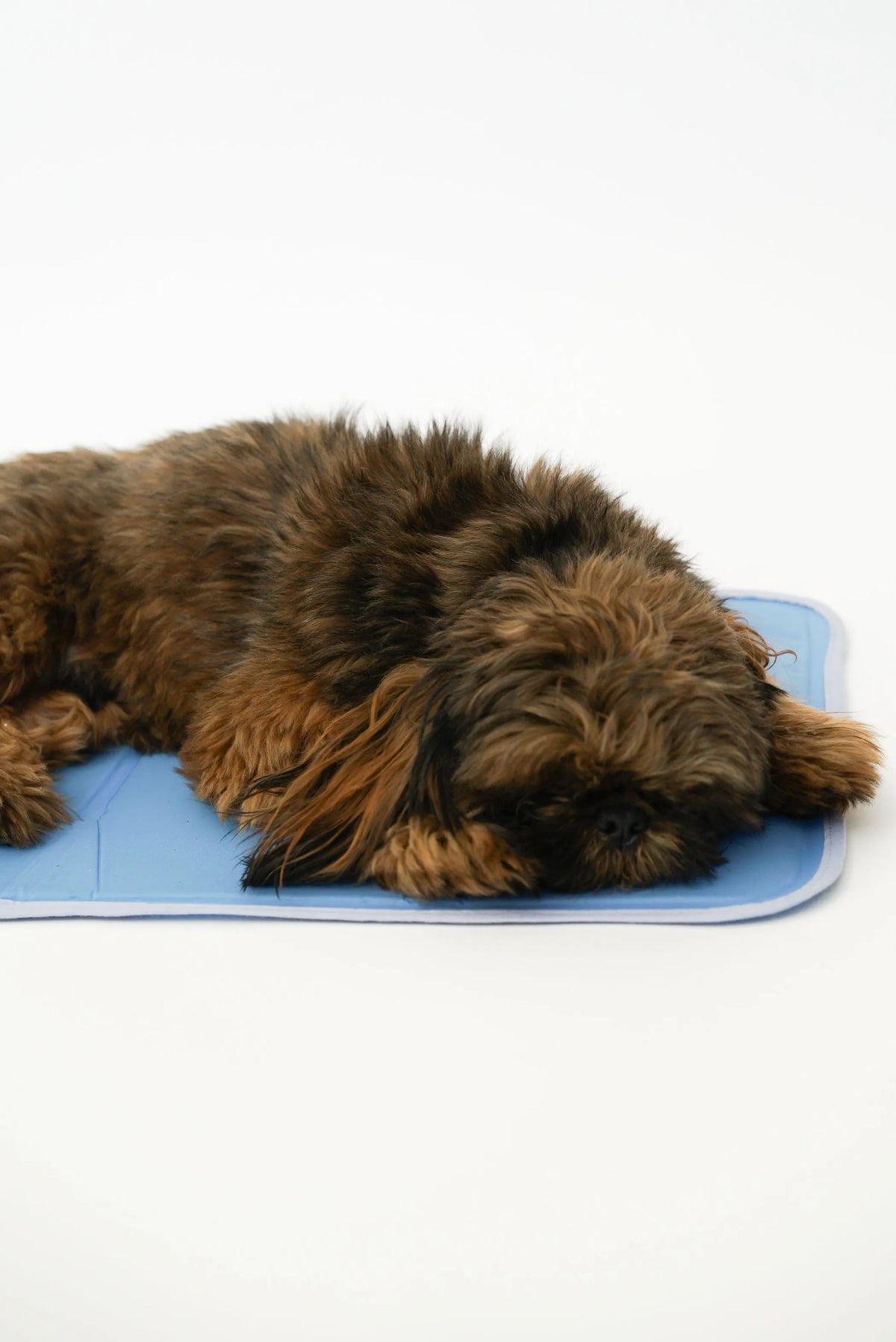 Pressure-Activated Cooling Pet Pad – No Electricity