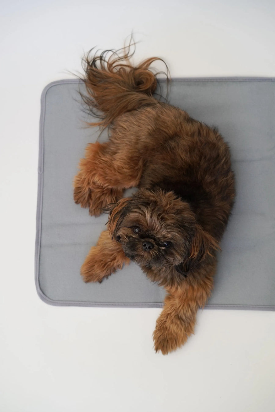 Self-Warming Pet Pad – Bamboo Charcoal, No Electricity