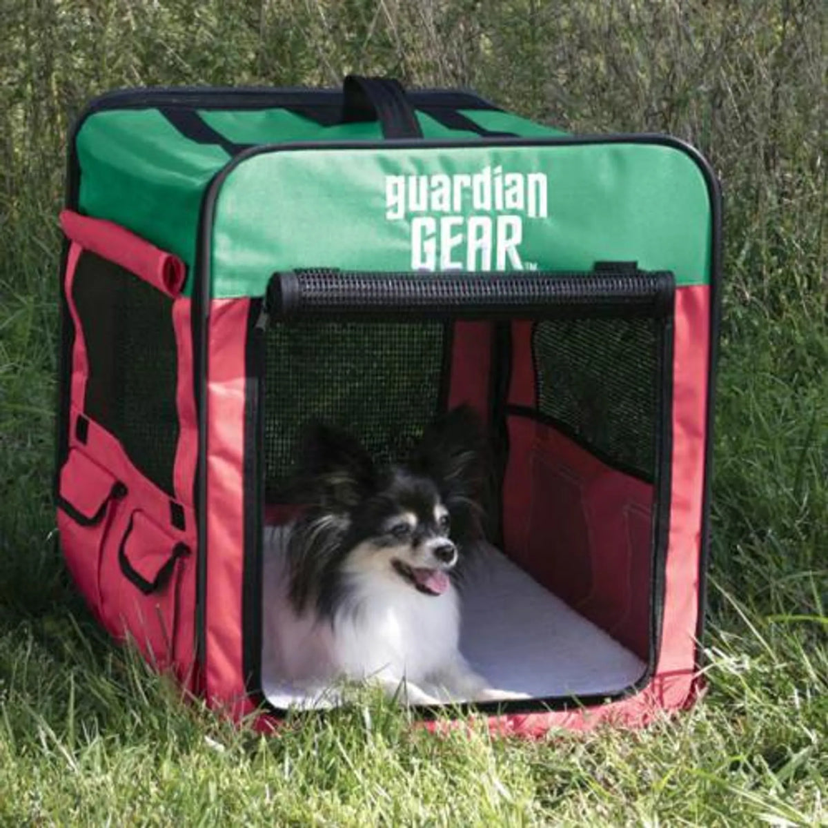 Collapsible Dog Crate – Multiple Sizes & Colors