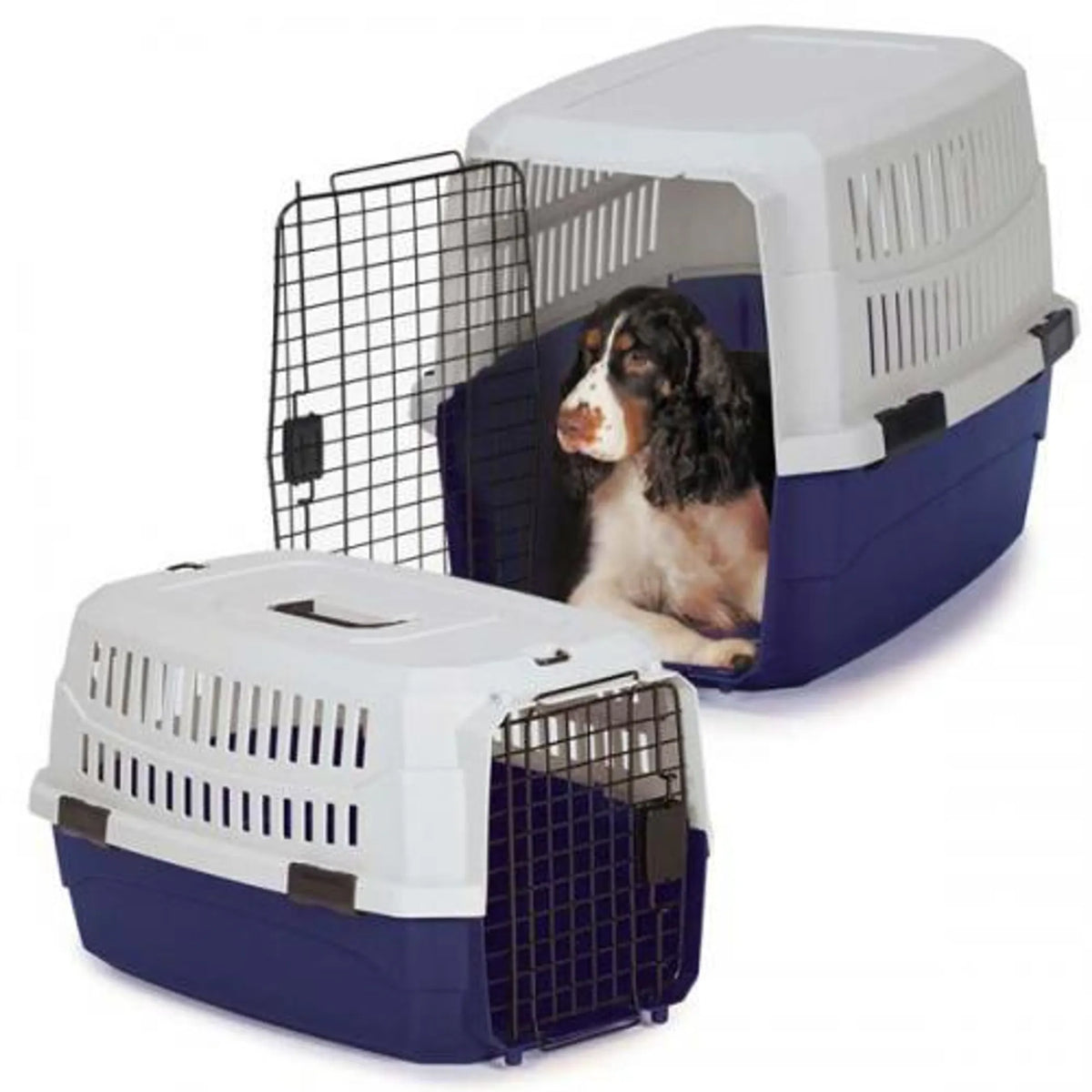 Heavy-Duty Plastic Dog Crate with Metal Door – Blue