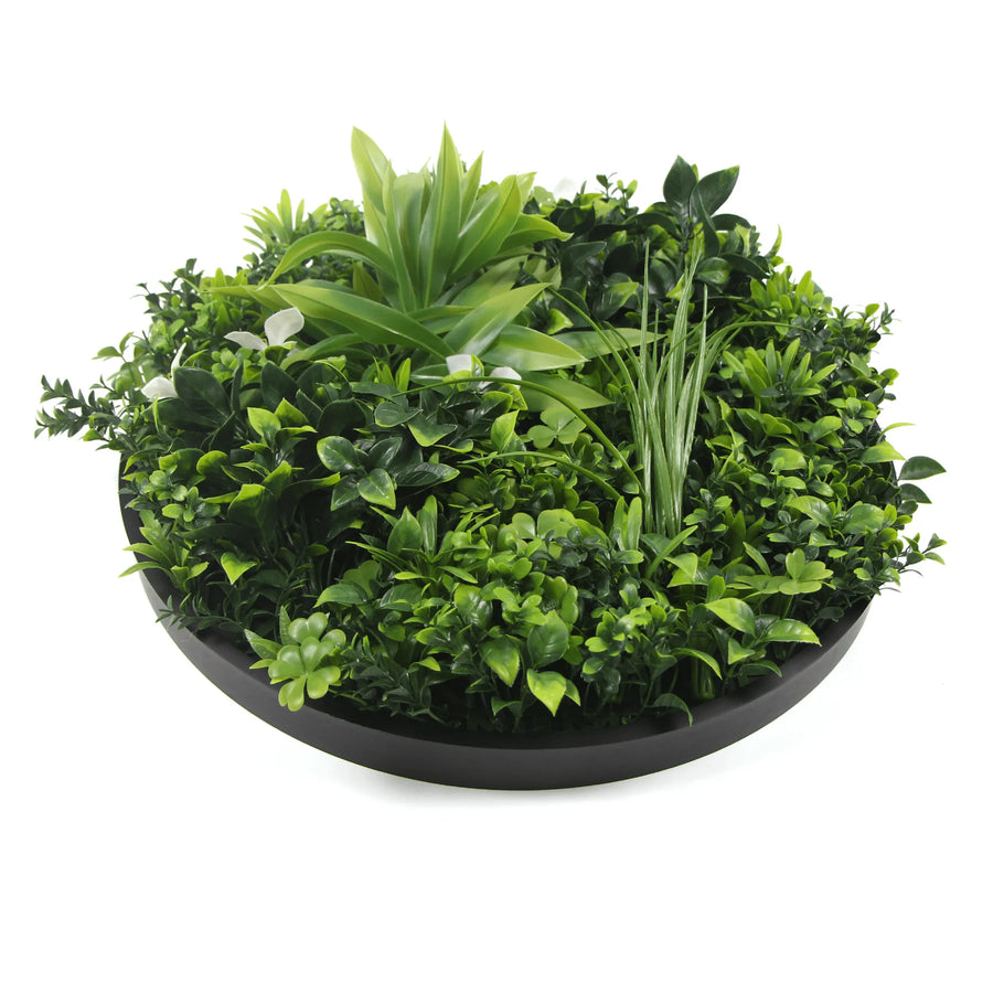 Artificial Green Wall Disc - Black frame 30" 1