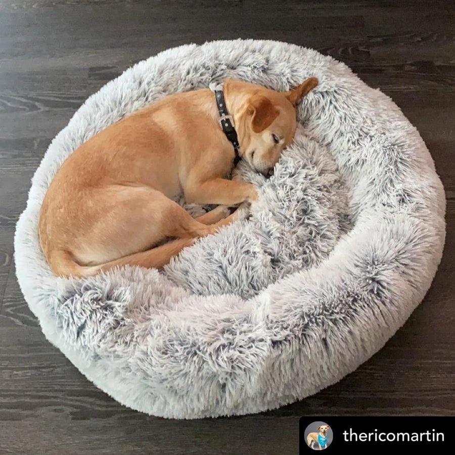 Plush Pet Bed with Gripper-Dot Base – 23 & 28 Inches
