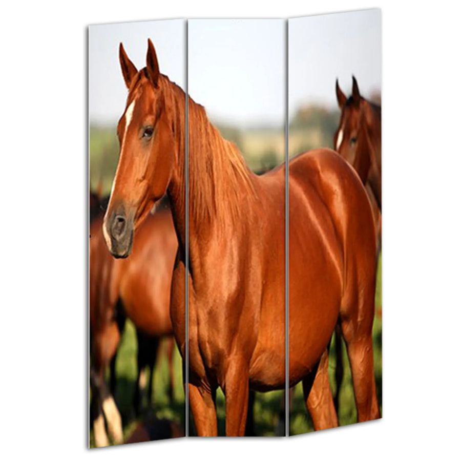 48" X 72" Multi Color Wood Canvas Horse Screen - 1