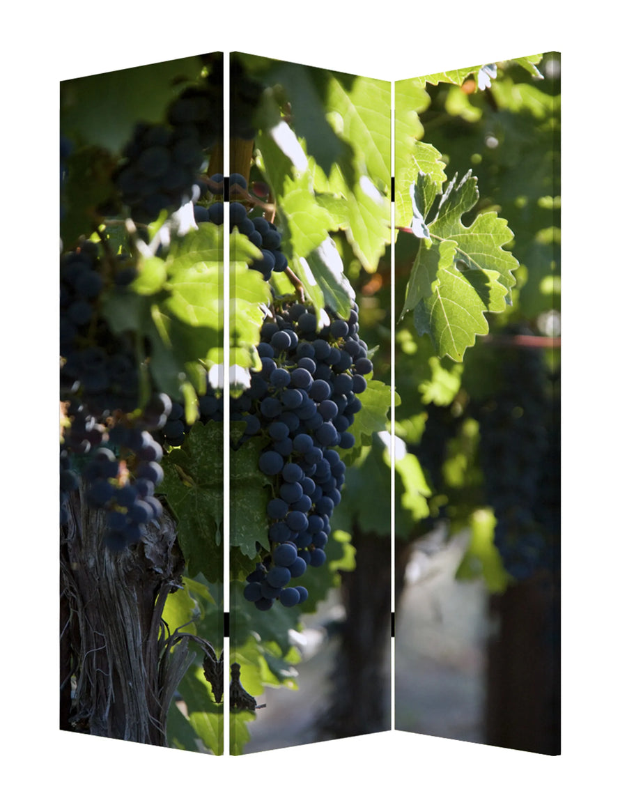 48" X 72" Multi Color Wood Canvas Wine Country Screen - 1