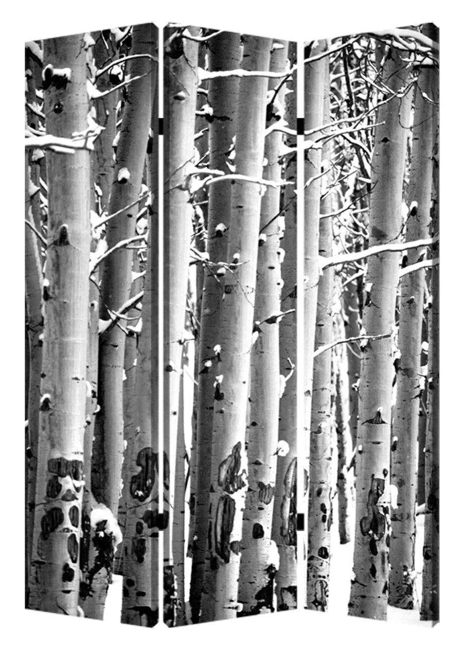 48" X 72" Gray And White Wood Canvas Birch Screen - 1