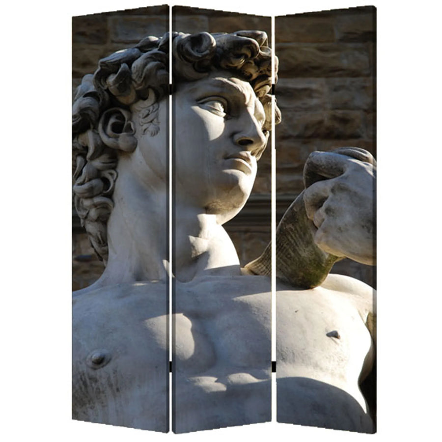 48" X 72" Multi Color Wood Canvas Rome Screen - 1