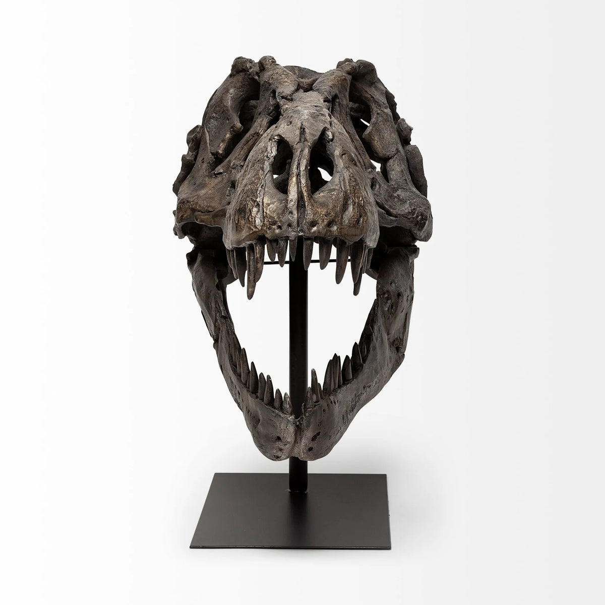 Authentic Replica T Rex Skull Sculpture