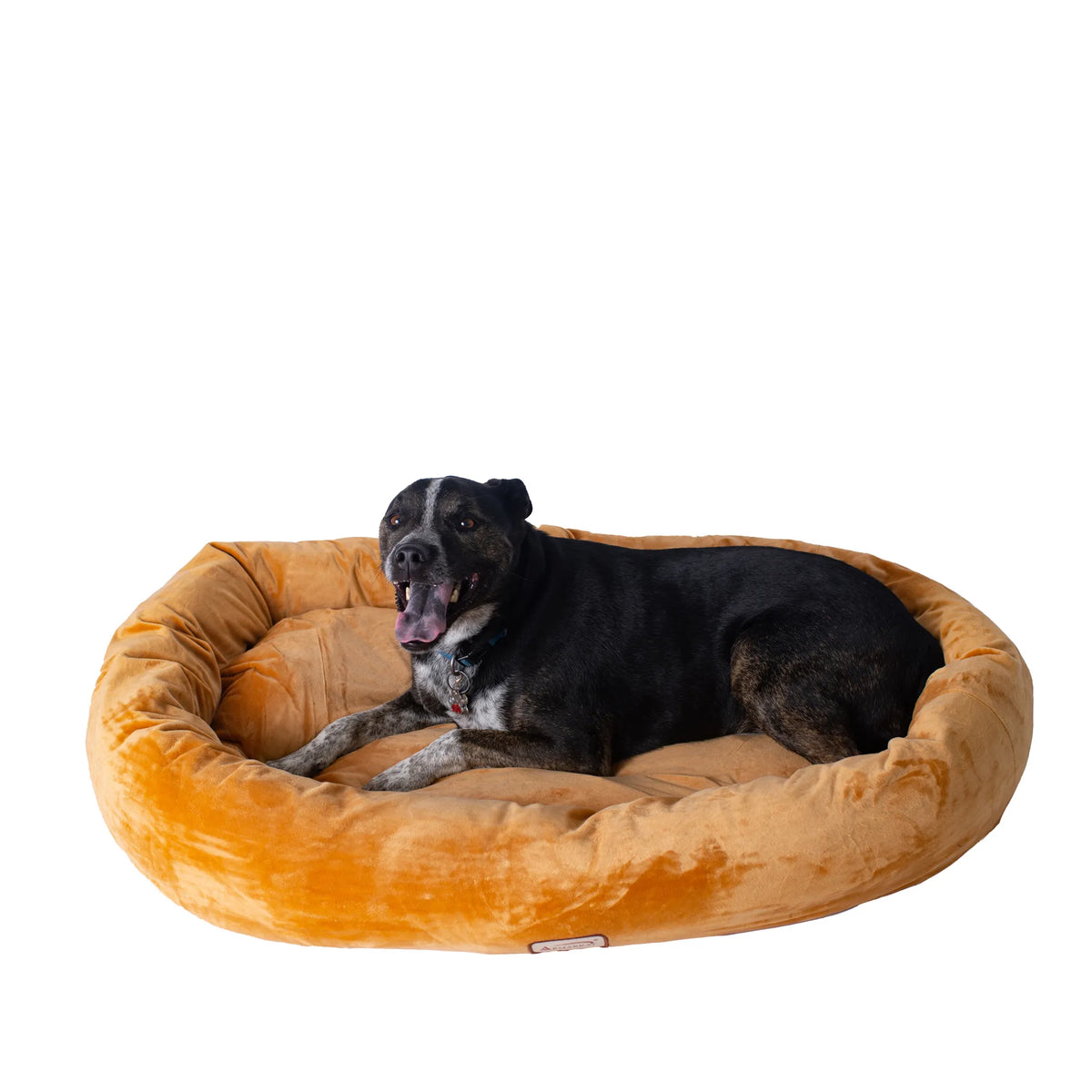 Large Bolstered Dog Bed with Washable Cover – 43 × 30 Inches