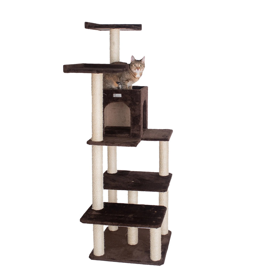 66-Inch Cat Tree with Two Perches & Condo – Brown
