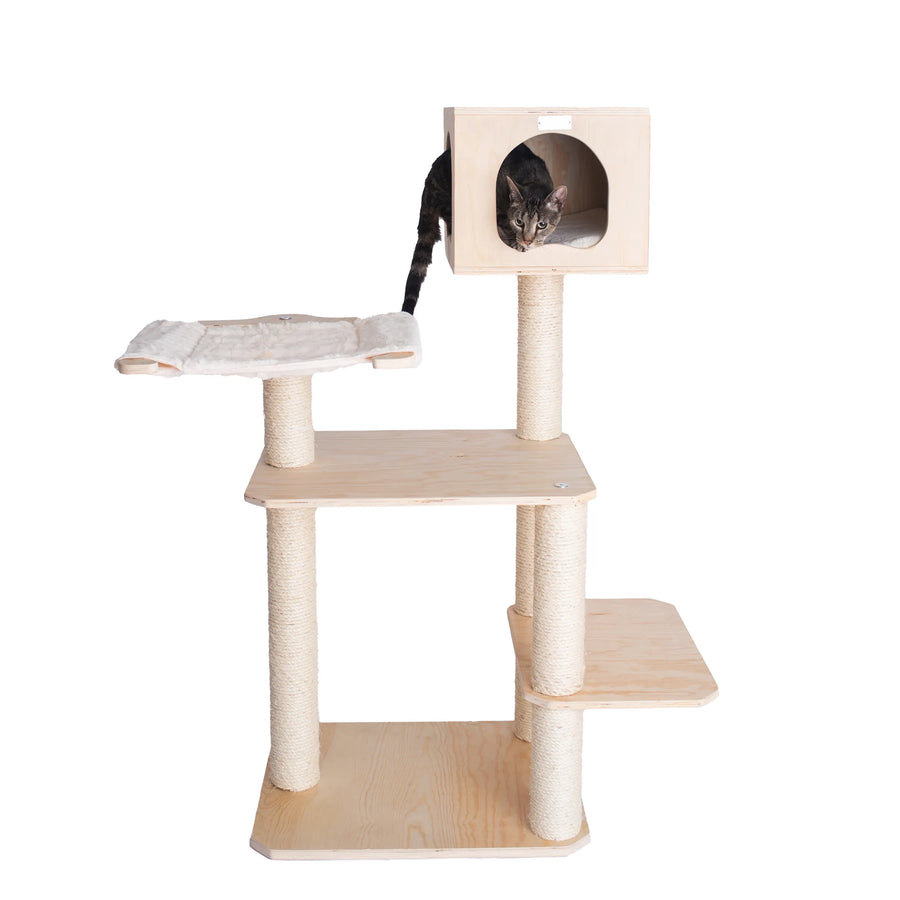 50-Inch Scots Pine Cat Tree with Hammock & Condo