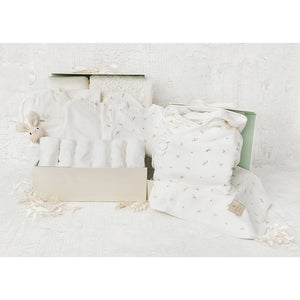 Beyond Basics Deluxe Gift Box