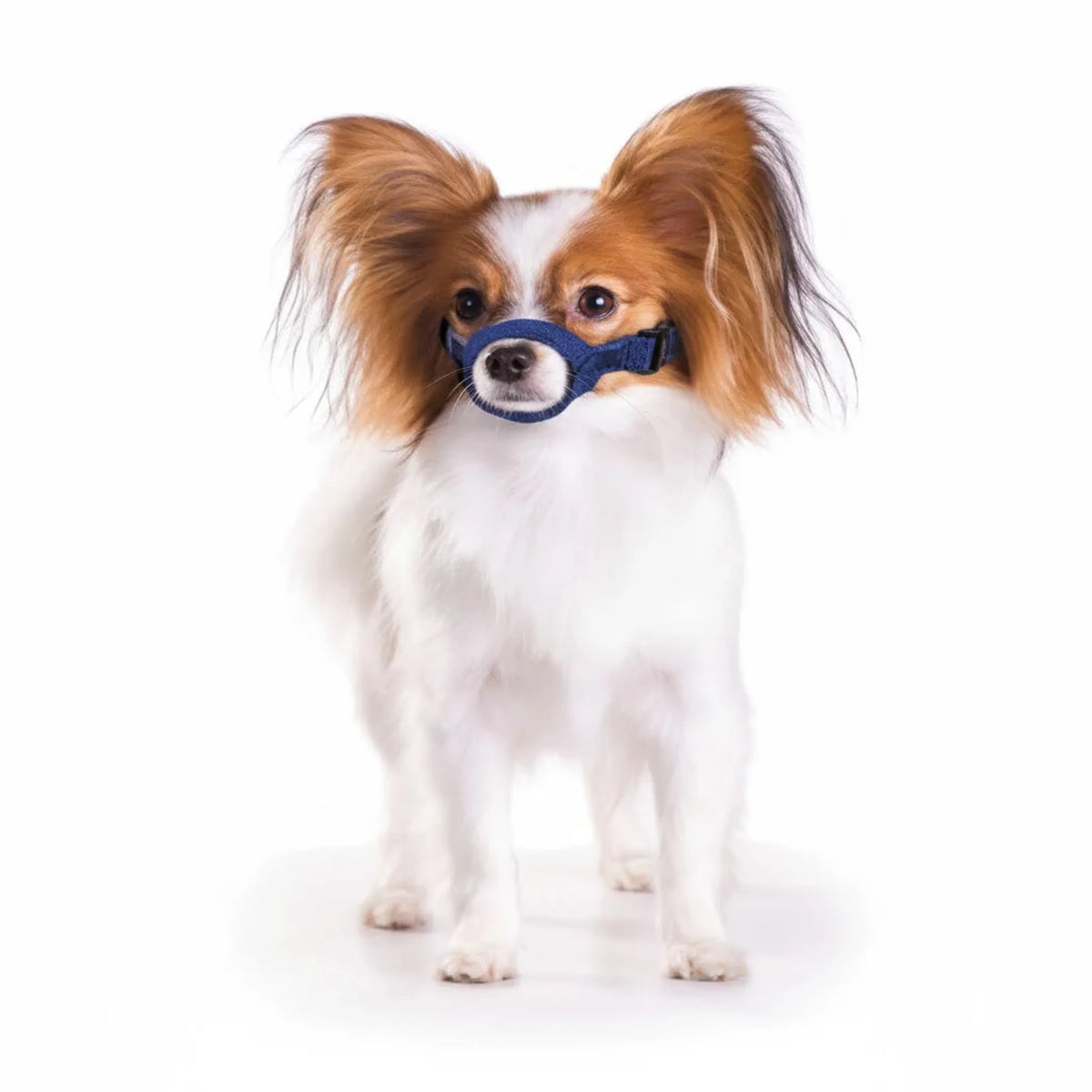 10 Pack Quick Muzzle for Dogs - Blue 4XL 1