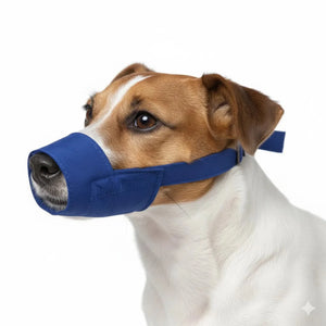 10 Pack Quick Muzzle for Dogs - Blue 5XL 1