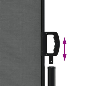 Retractable Side Awning Anthracite 70.9"x393.7
