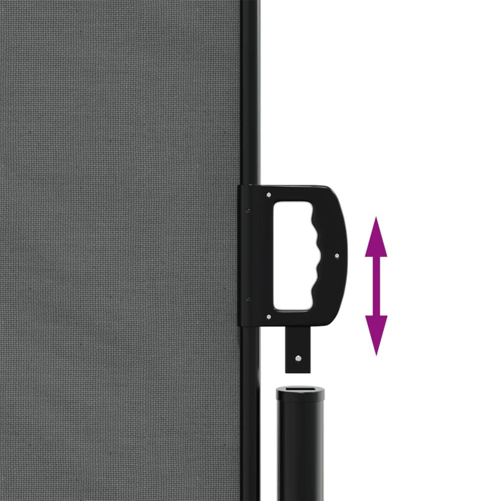 Retractable Side Awning Anthracite 55.1"x472.4
