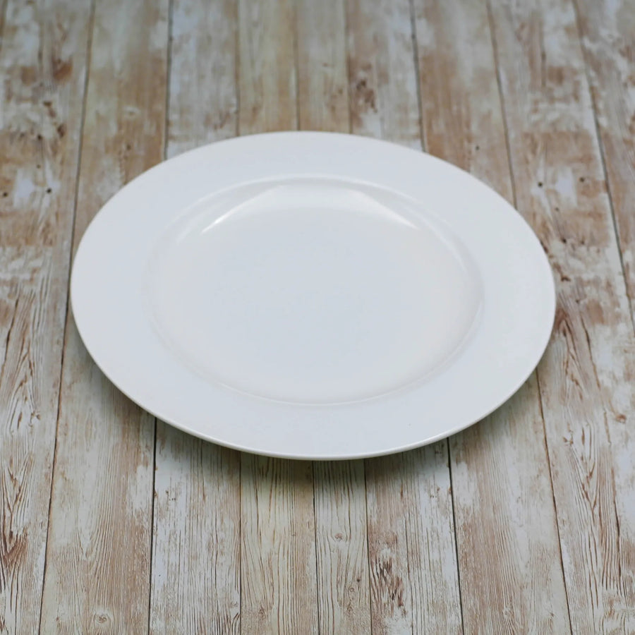 PROFESSIONAL DINNER PLATE 11" | 28 CM