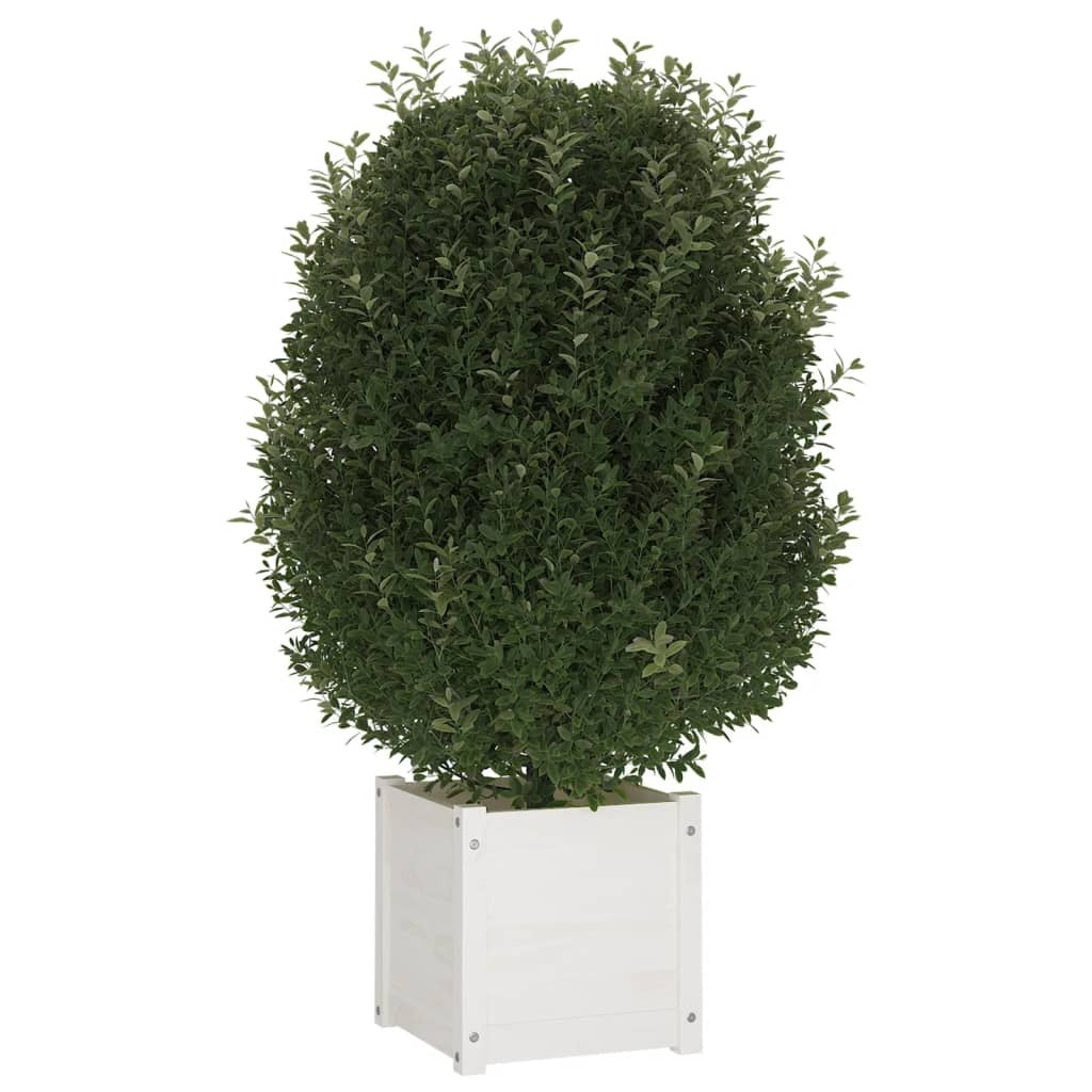 Garden Planter White 15.7"x15.7"x15.7" Solid Wood Pine