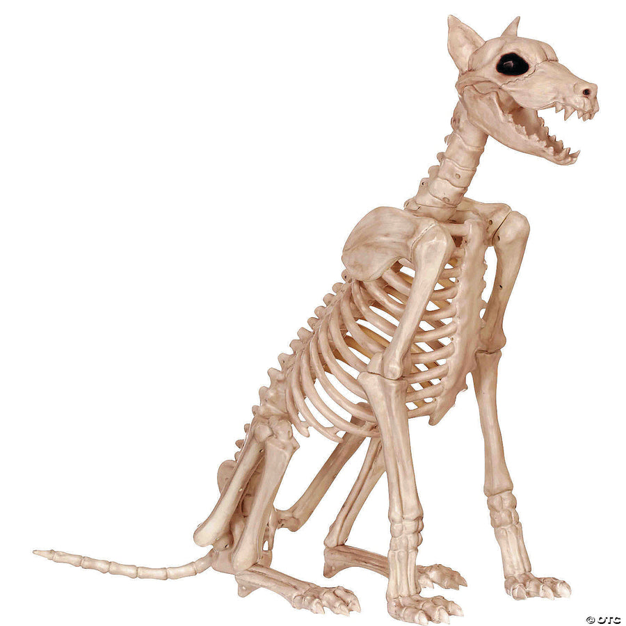 Skeleton doberman