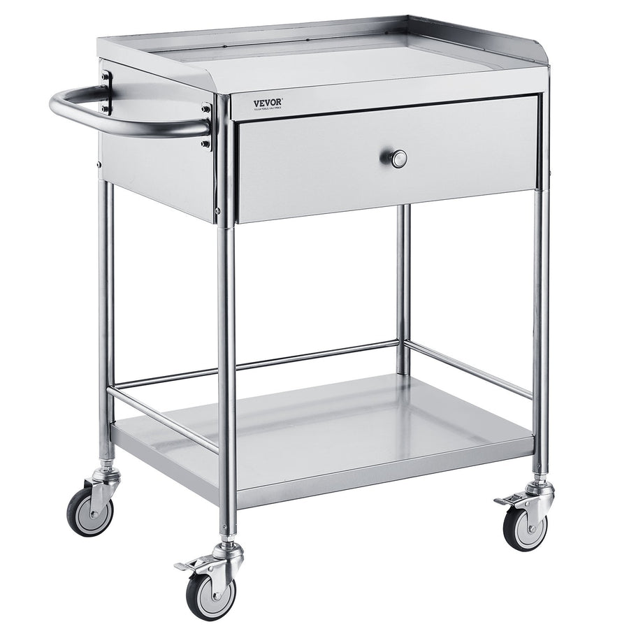 Medical Cart, 2-Layer Stainless Steel Cart 220 lbs Weight Capacity, Lab Utility Cart with 360? Silent Wheels and a Drawer for Lab, Clinic, Kitchen, Salon