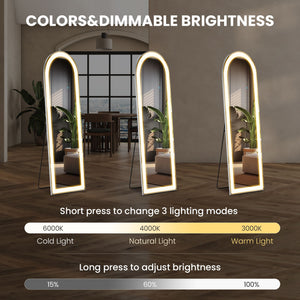 3 Color Lighting Mirror with LED Lights, 64"x21" Lighted Floor Standing Mirror with Stand, Wall Mounted Hanging