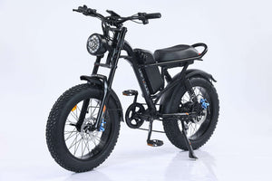 750W Mountain Electric Bicycle