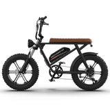 AOSTIRMOTOR Electric Bicycle – 750W Motor, 20" Fat Tires, 48V 13AH Li-Battery, All-Terrain E-Bike