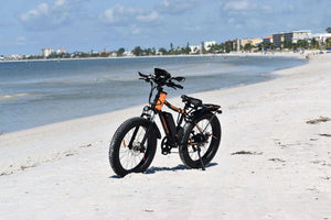 750W Electric Bike