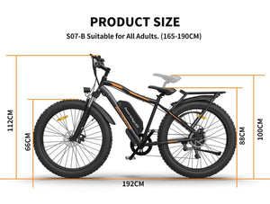 750W Electric Bike