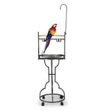 Bird Stand Rack