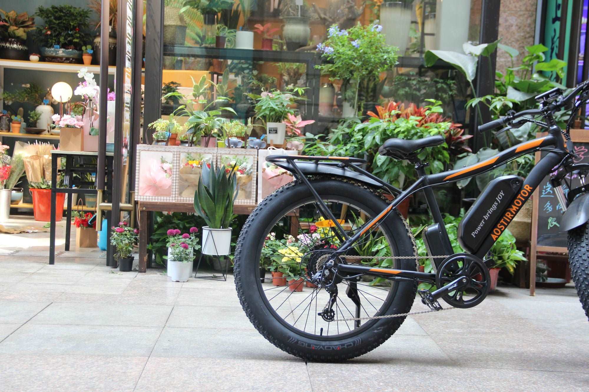 750W Electric Bike