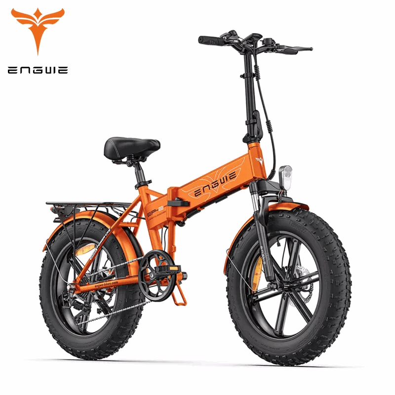 750W Mountain Electric Bicycle