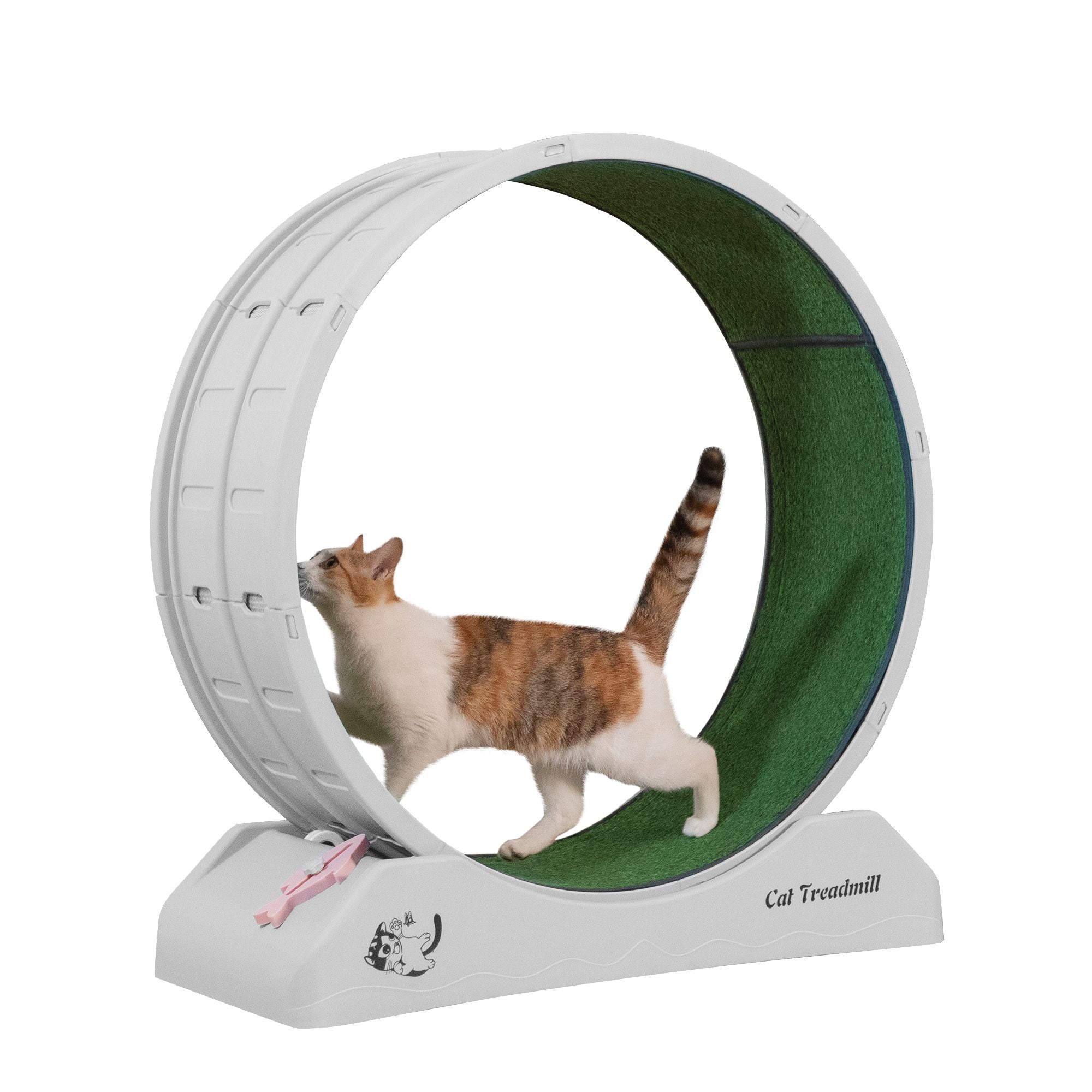 Cat Running Wheel – Quiet, Lightweight Treadmill for Indoor Cats