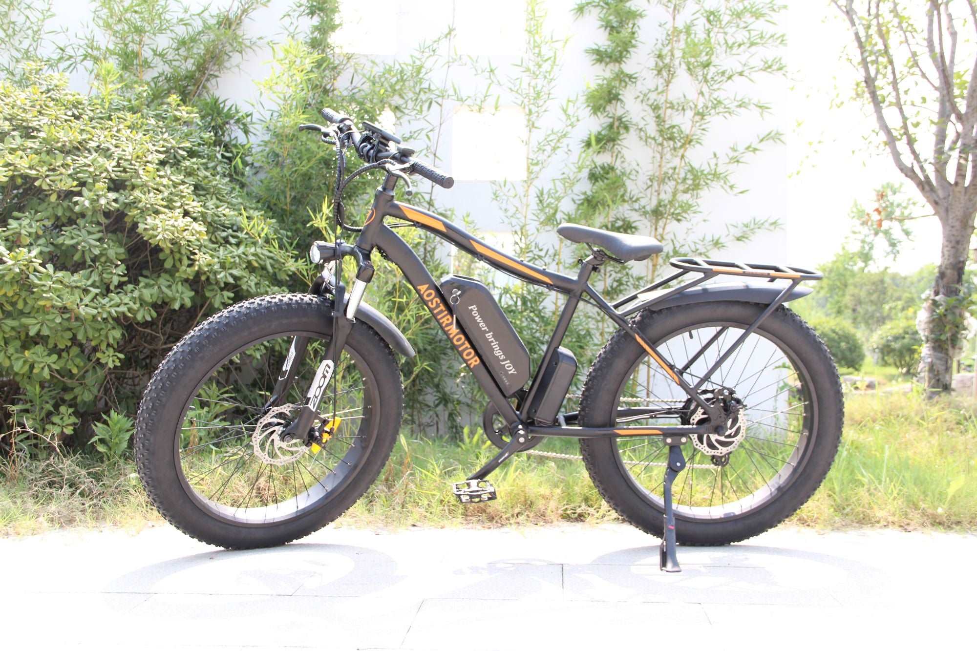 750W Electric Bike