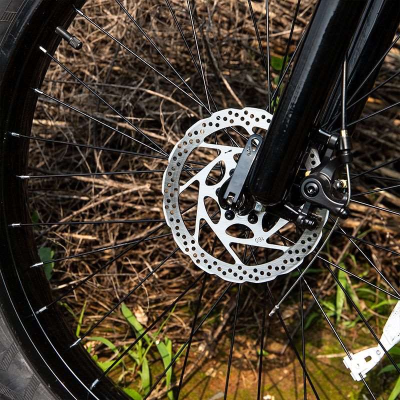 26'' Electric Bike 1000W