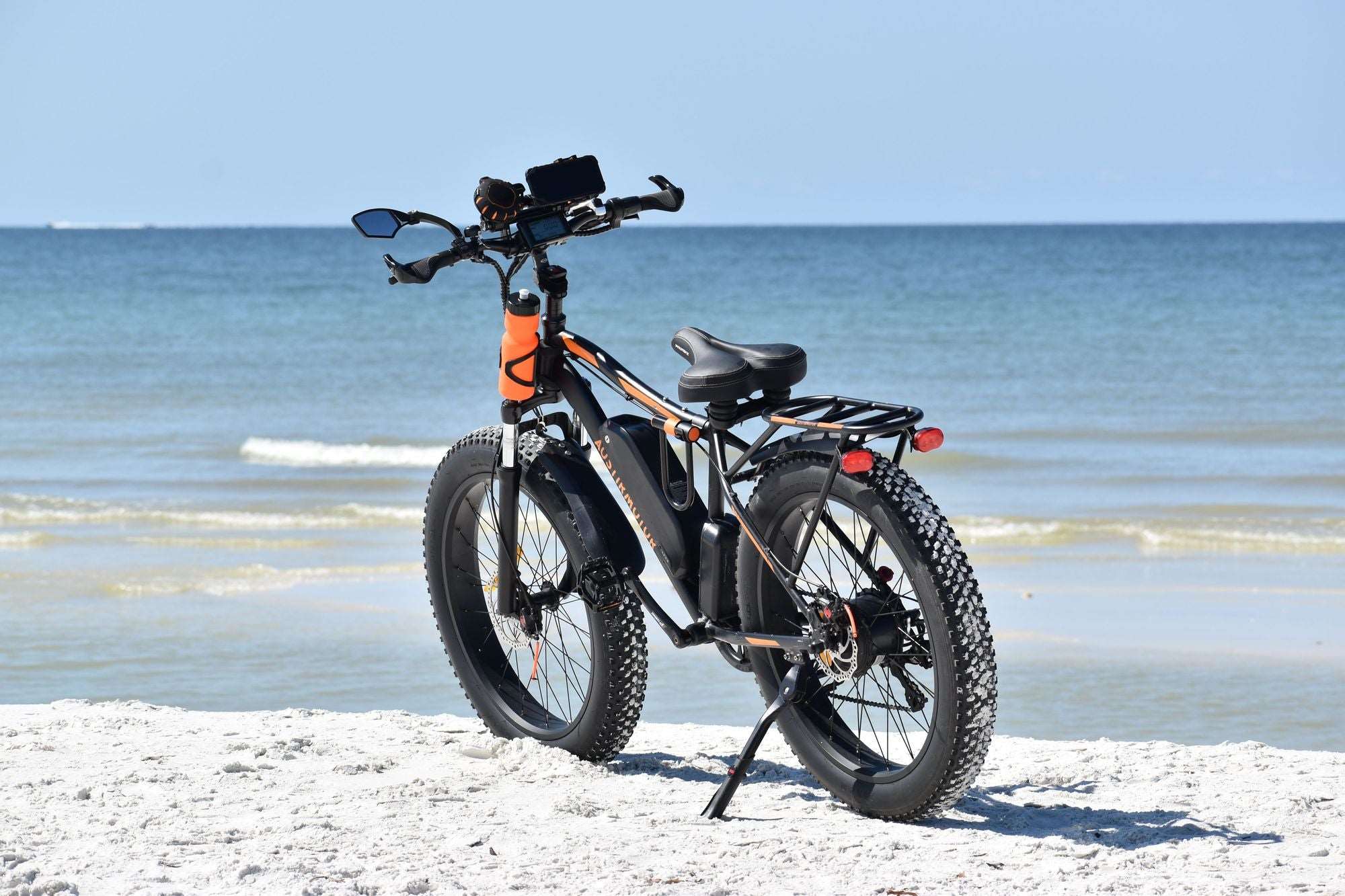 750W Electric Bike