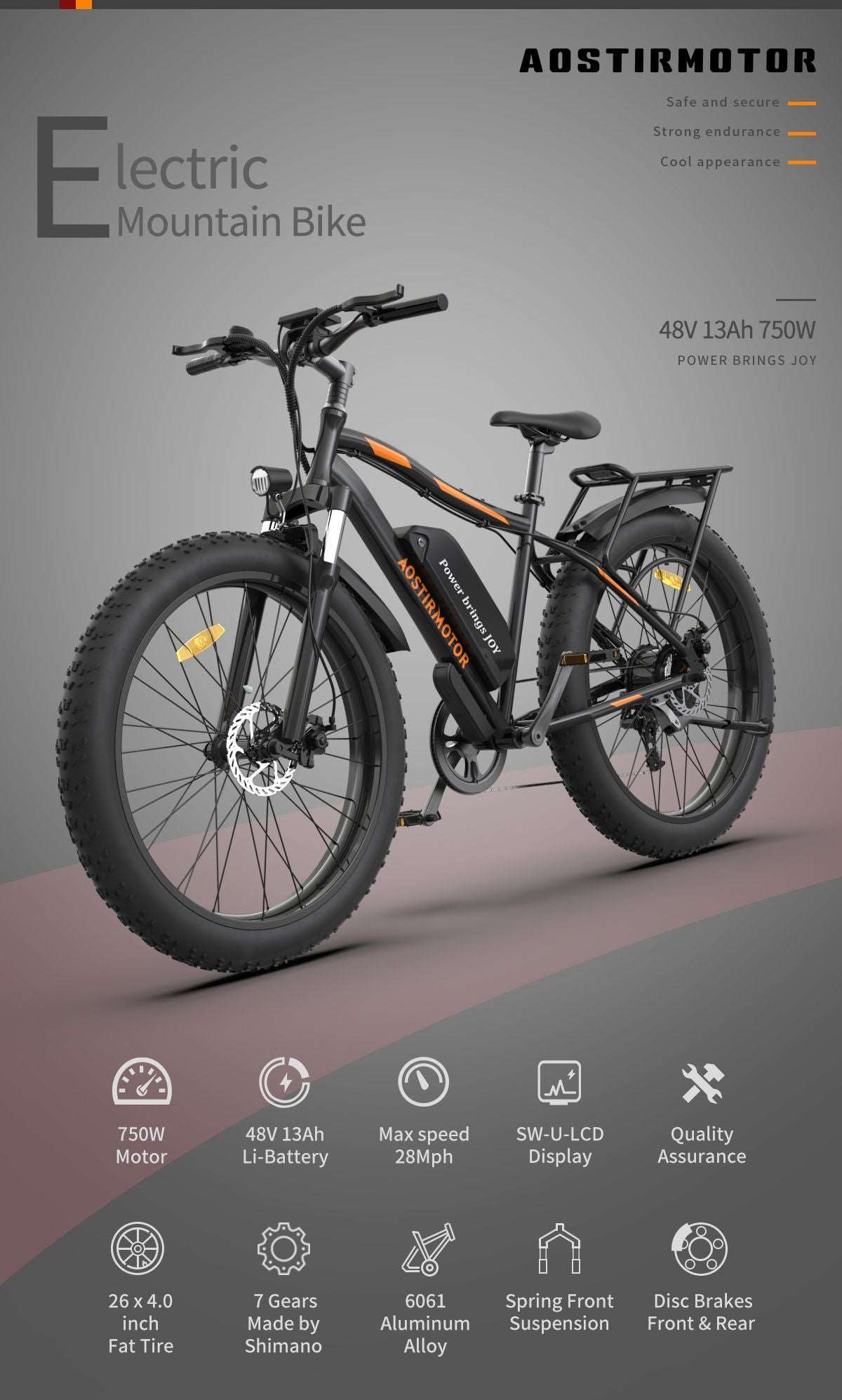 750W Electric Bike