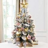 22in Tabletop Christmas Tree with Lights