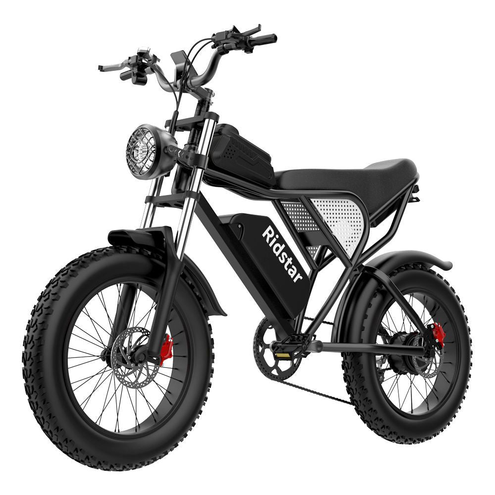 Electric Bike – 1000W, 25MPH, 20" Fat Tire, 48V 20AH Removable Battery