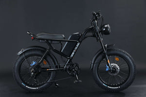 750W Mountain Electric Bicycle