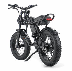 750W Mountain Electric Bicycle