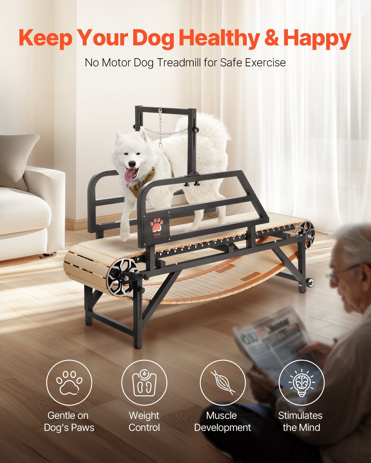 Dog Treadmill for Medium Dogs - Indoor Pet Running Machine for Dogs up to 220 lbs