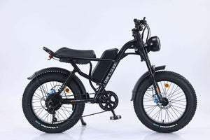 750W Mountain Electric Bicycle