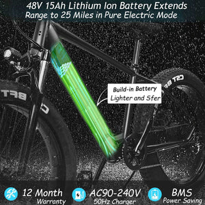 26'' Electric Bike 1000W