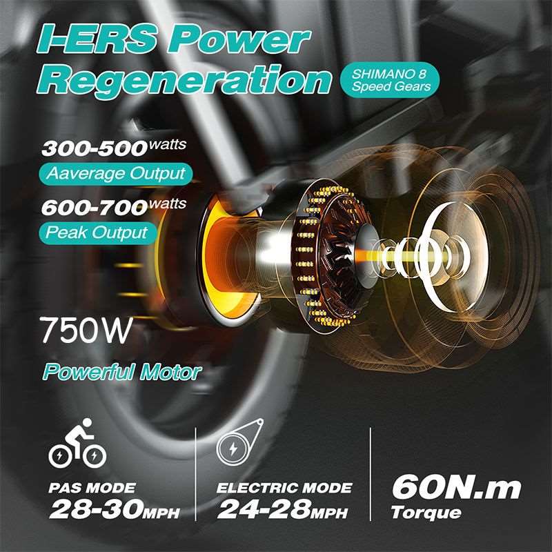 750W Electric Bike