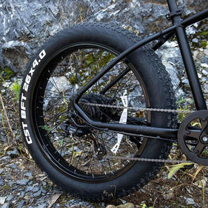 26'' Electric Bike 1000W