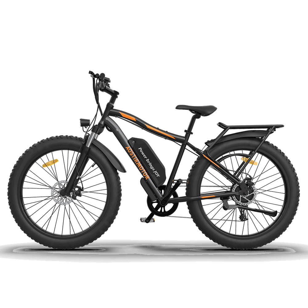 750W Electric Bike