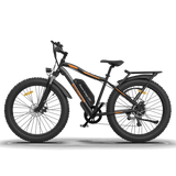 750W Electric Bike